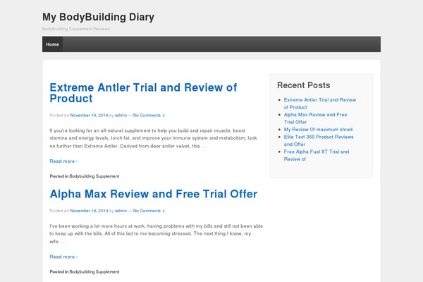 WordPress website example screenshot