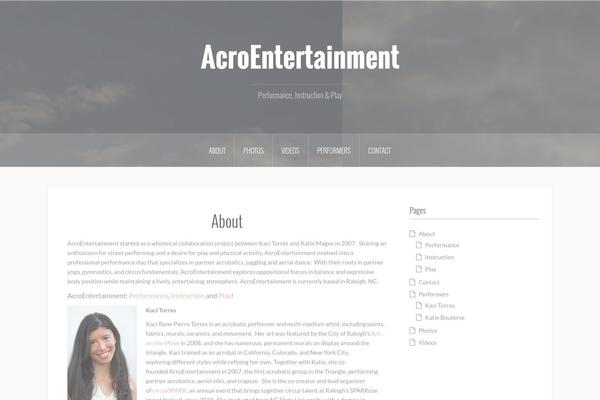 WordPress website example screenshot