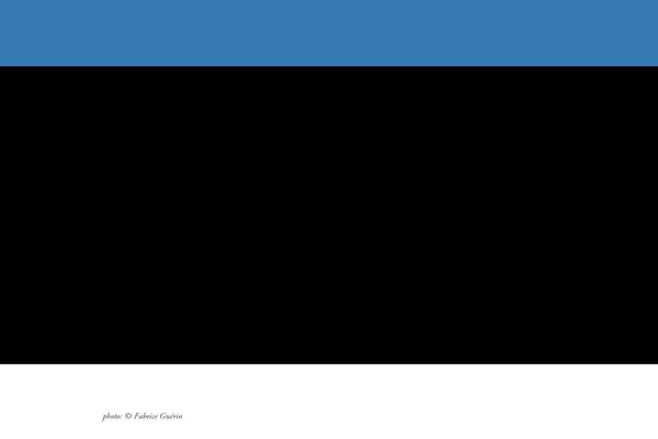 Site using Custom-fonts plugin