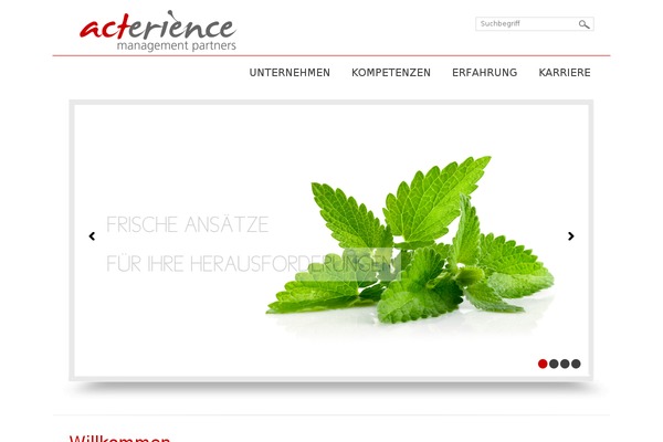 Site using AddToAny Share Buttons plugin