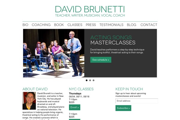 David theme site design template sample