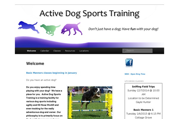 WordPress website example screenshot
