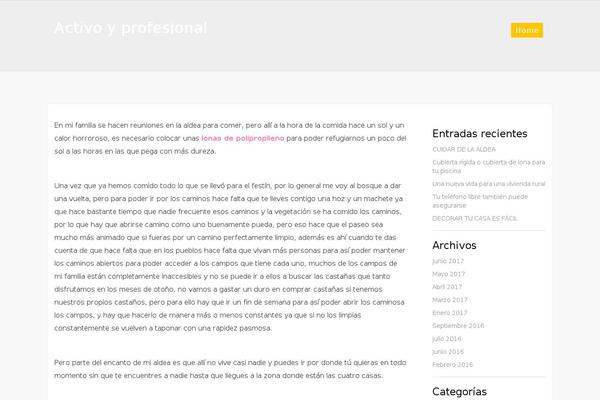 activopro.es site used Novelpink