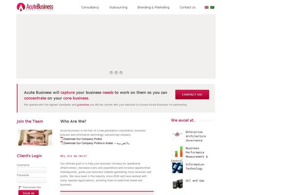 WordPress website example screenshot