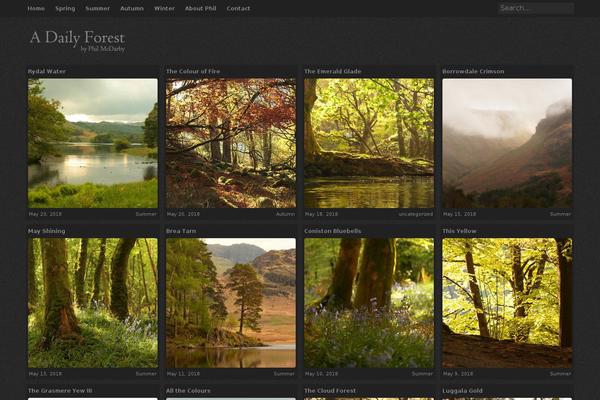 Photosquares theme site design template sample