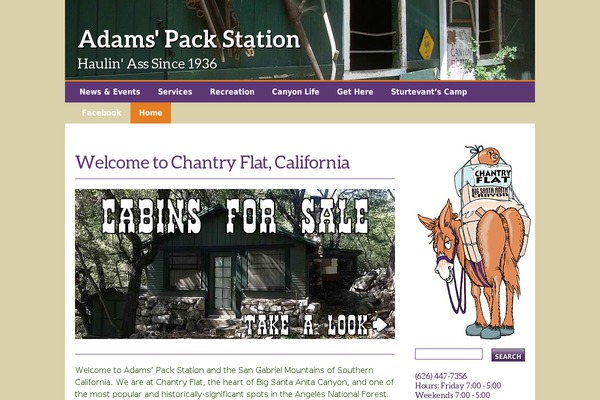 adamspackstation.com site used Packstationthree