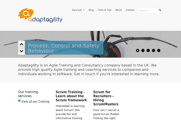 adaptagility.co.uk site used Whitelight