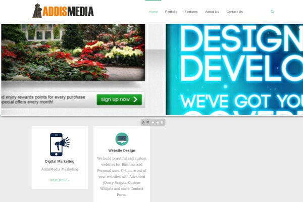 Soledad theme site design template sample