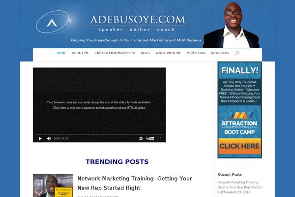AdE WordPress theme, websites list used AdE theme AdE theme websites examples