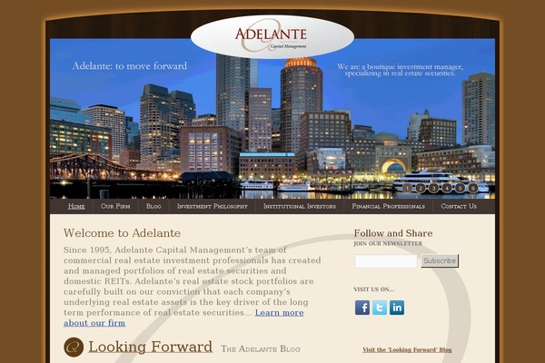 adelante theme websites examples