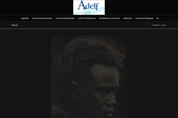 Site using Everest-forms plugin