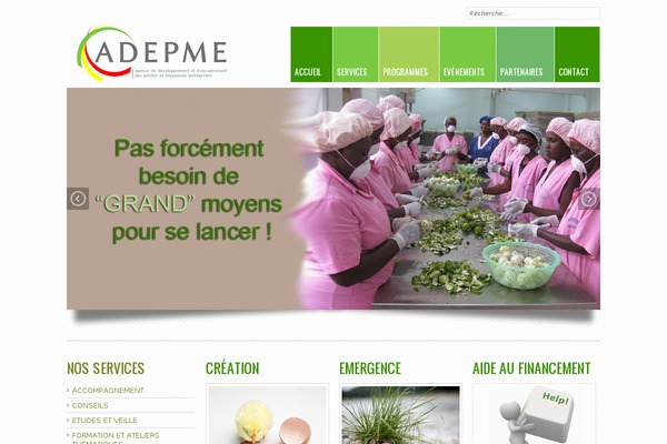 adepme.sn site used Adepme_theme