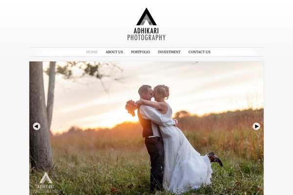 WordPress website example screenshot