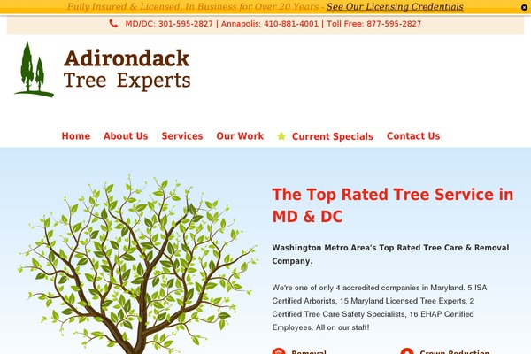 Adirondack theme site design template sample
