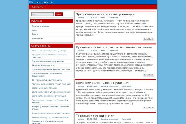 WordPress website example screenshot