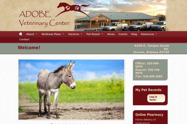 adobevetcenter.com site used Adobe-veterinary-center