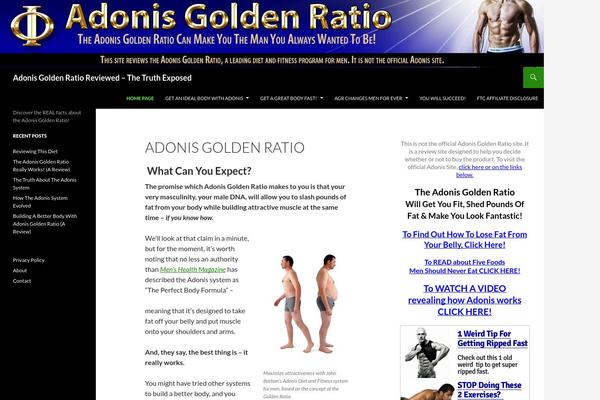 Twenty Fourteen theme site design template sample