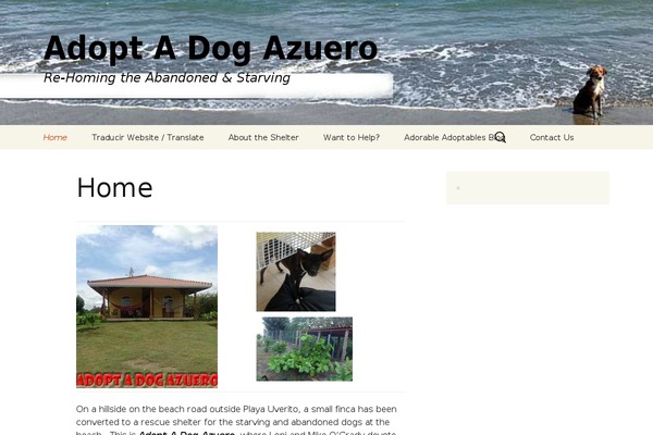 Twenty Thirteen theme site design template sample