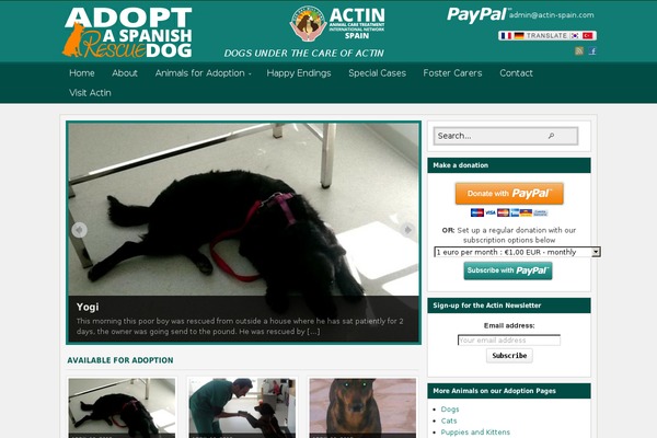 adoptaspanishdog.com site used Actin_theme