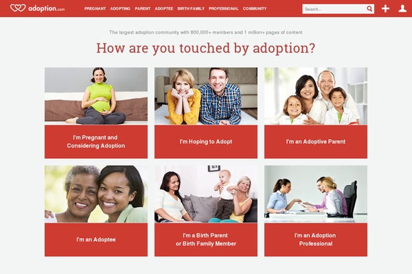 adoptionnew theme websites examples