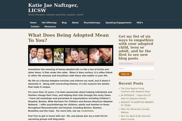 adoptiontherapyma.com site used Designfolio