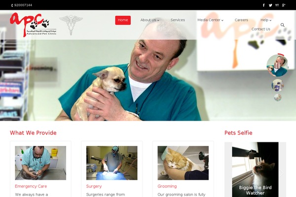 The7 theme site design template sample