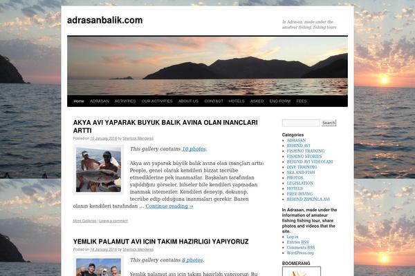 adrasanbalik.com site used Twenty Ten
