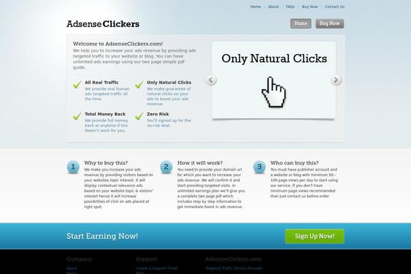 Saas Ii theme websites examples
