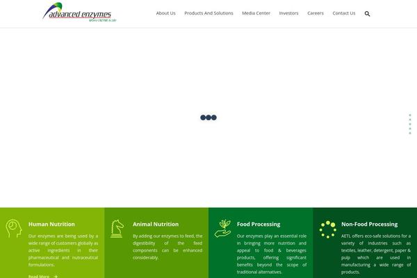 advancedenzymes.com site used Enzyme