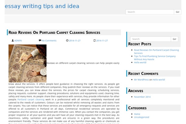 WordPress website example screenshot