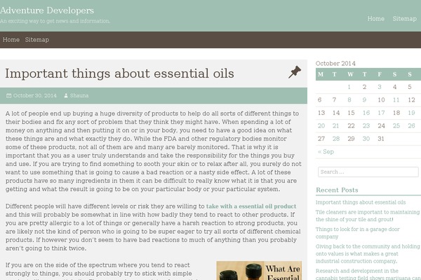 WordPress website example screenshot