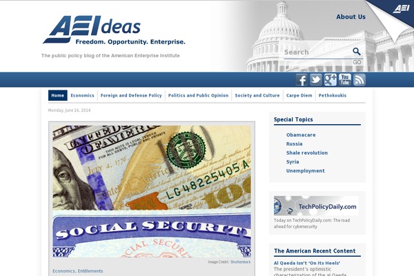 aei theme websites examples