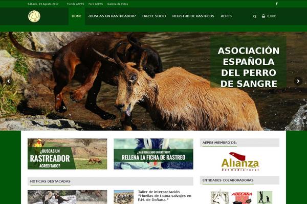 aepes.es site used Newsri-child