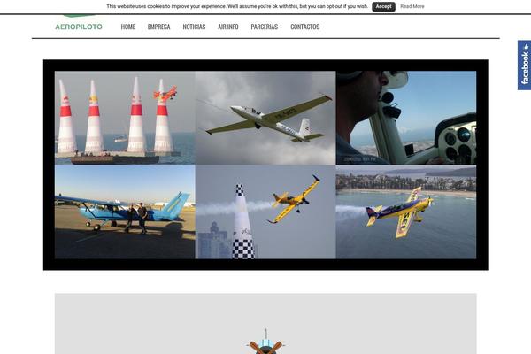 FlyMag theme site design template sample