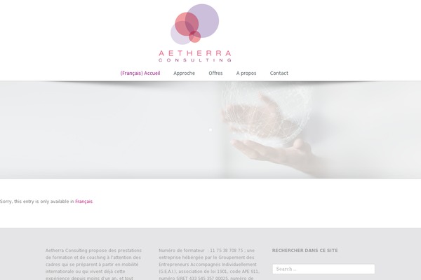 Avada theme site design template sample