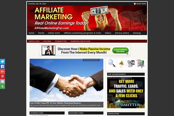 affiliatemarketingfan.com site used Theme_1