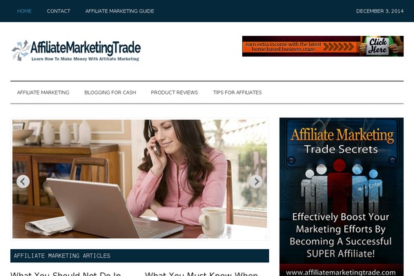 WordPress website example screenshot