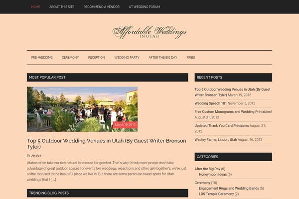 Magazine Pro theme site design template sample