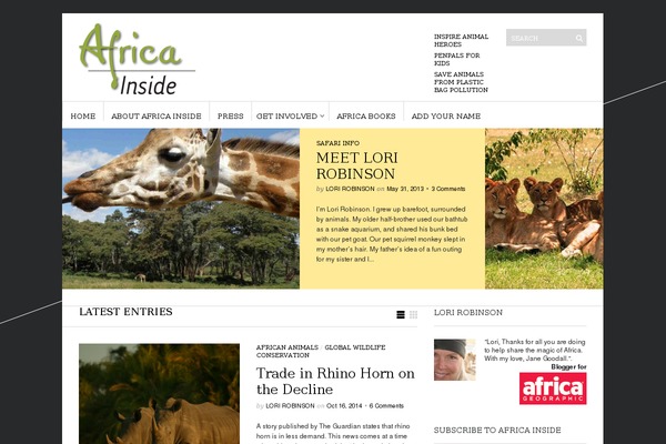 africainside.org site used Acabado-2