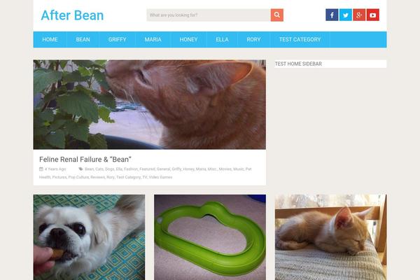 afterbean.com site used SociallyViral