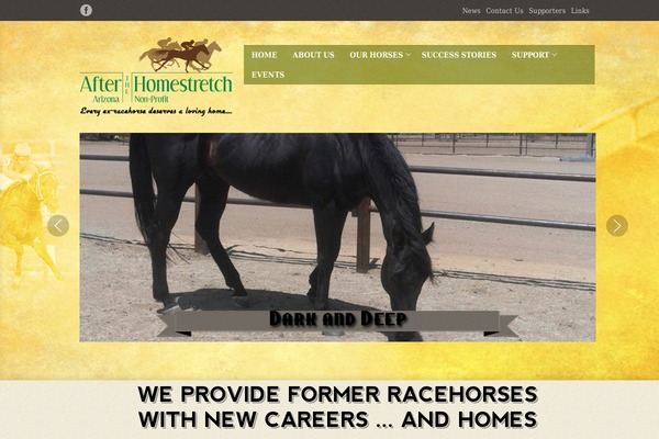 afterthehomestretchaz.org site used Bhinneka-new