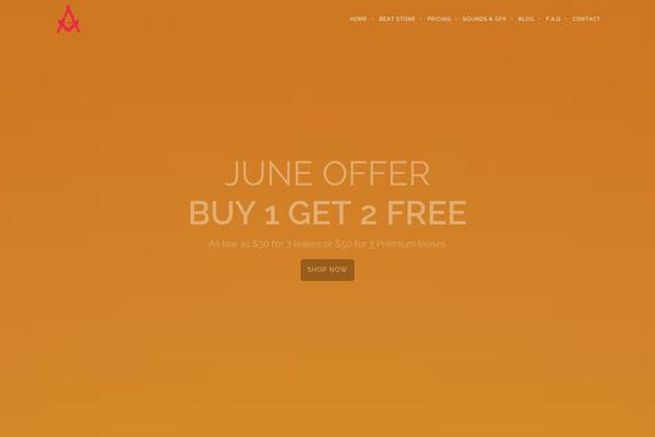 Brooklyn theme site design template sample