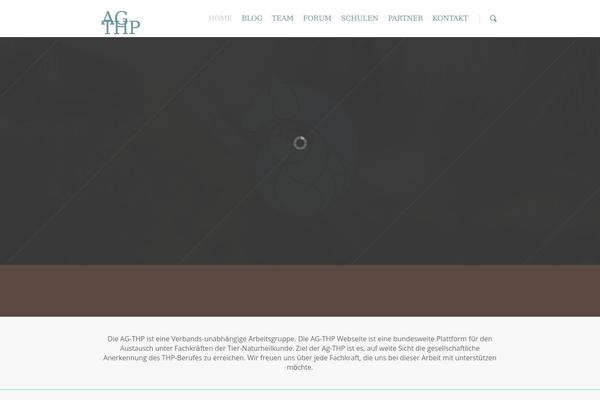 Salient theme site design template sample