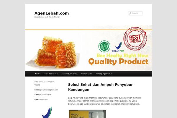 Twenty Eleven theme site design template sample