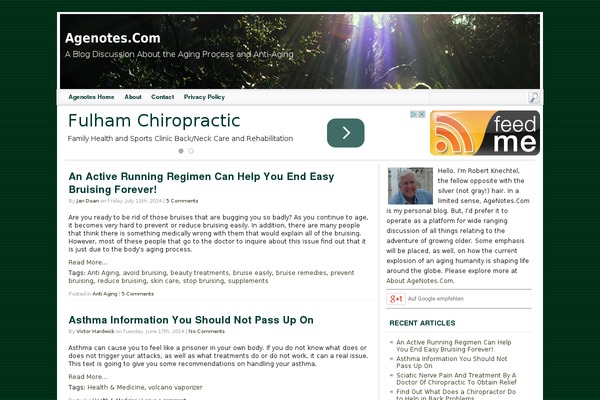 WordPress website example screenshot