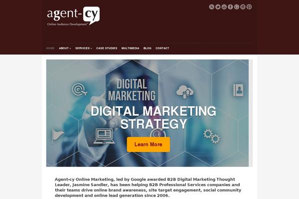 agent-cy.com site used Wp_vidiho5-v1.1