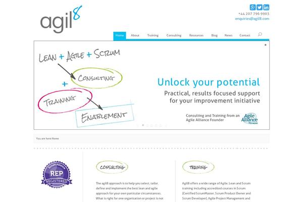Divi Child theme site design template sample