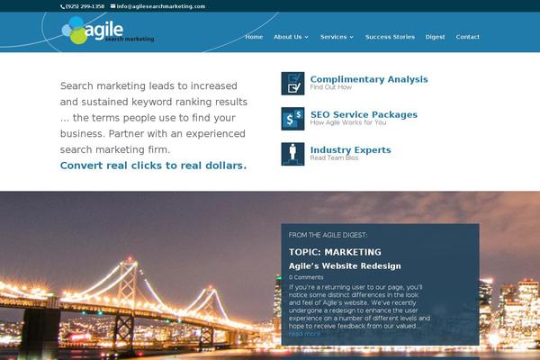 agilesearchmarketing.com site used Diviagile