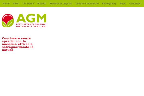 agmsrl.info site used Parallax1.8.5