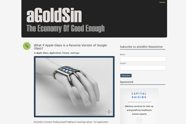 agoldsin.com site used Blink